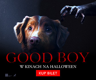 Obrazek widżetu: Goodboy